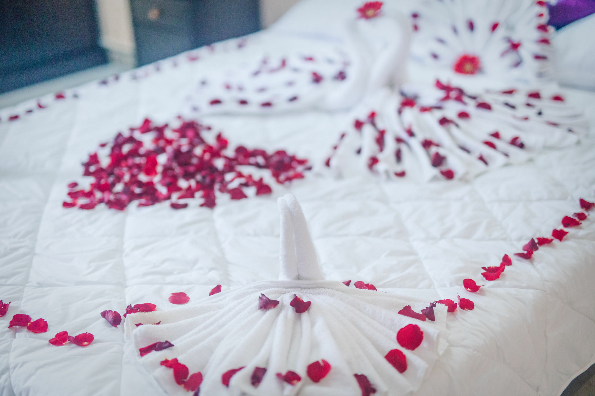 Oyo 117 Gina Hotel ดานัง ภายนอก รูปภาพ