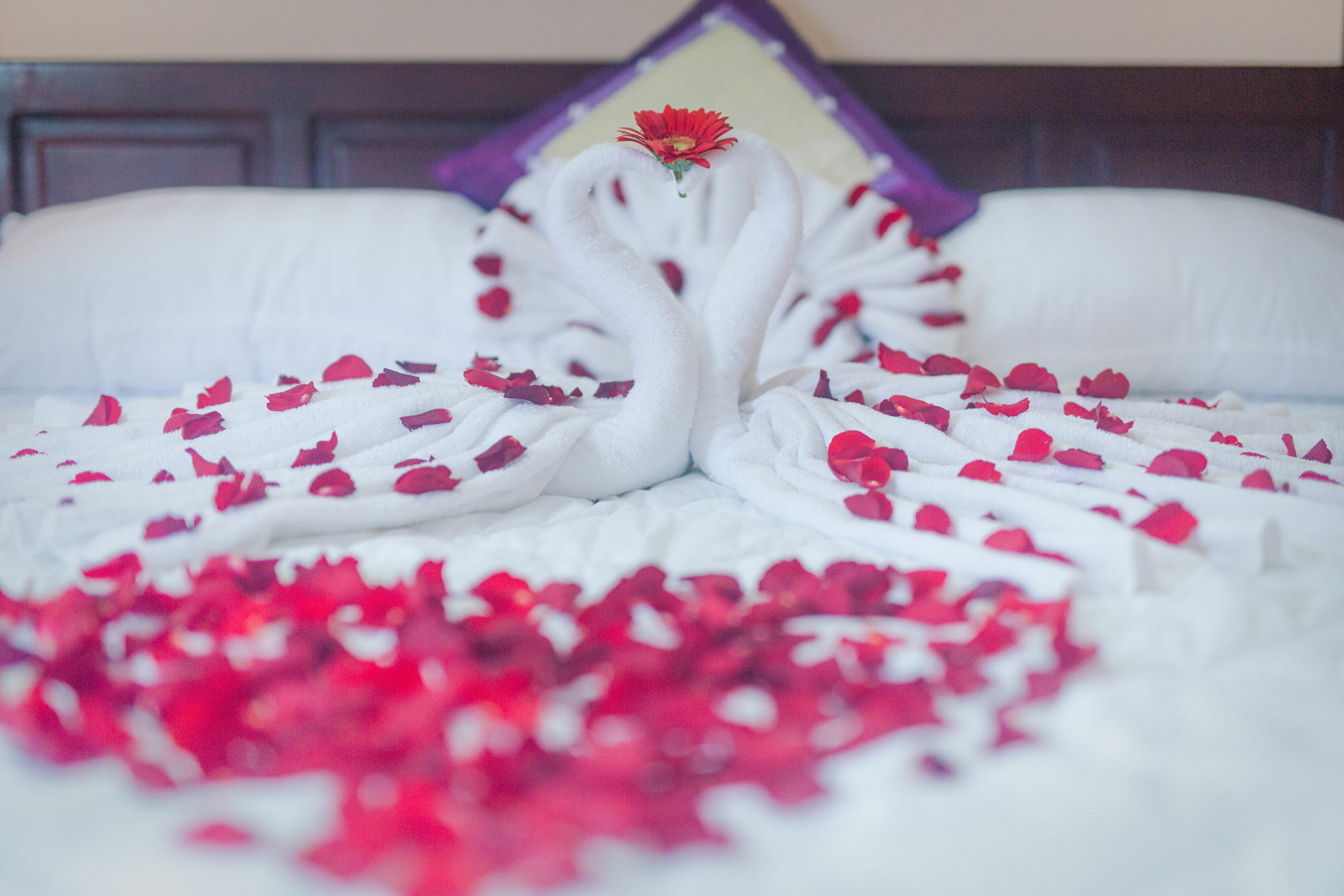 Oyo 117 Gina Hotel ดานัง ภายนอก รูปภาพ