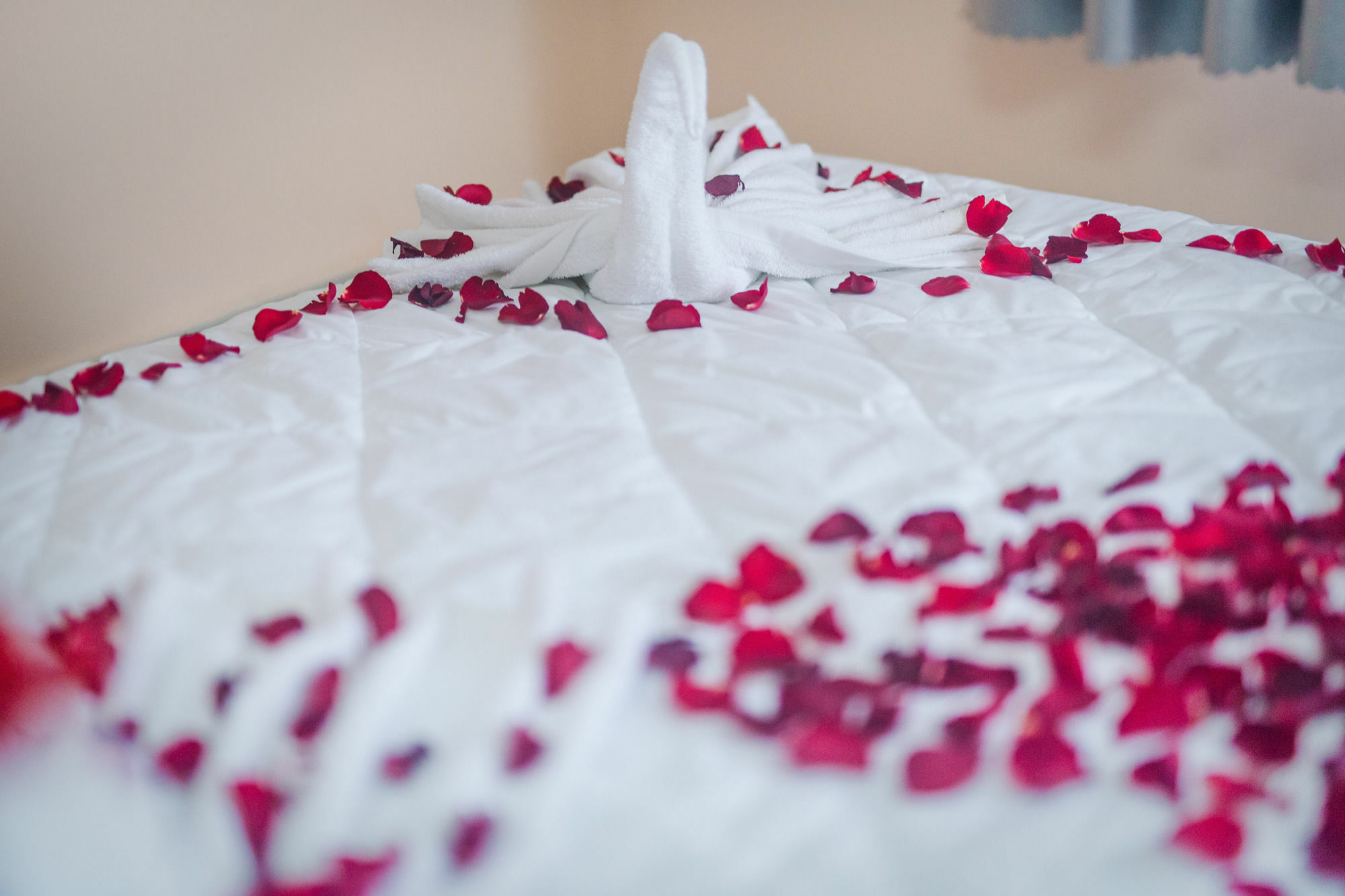 Oyo 117 Gina Hotel ดานัง ภายนอก รูปภาพ