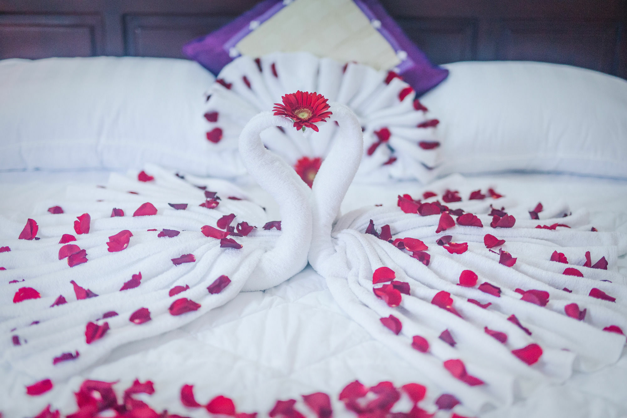 Oyo 117 Gina Hotel ดานัง ภายนอก รูปภาพ